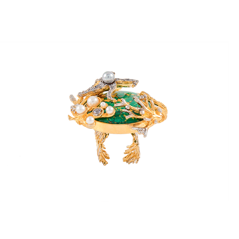 The Ocean Ring